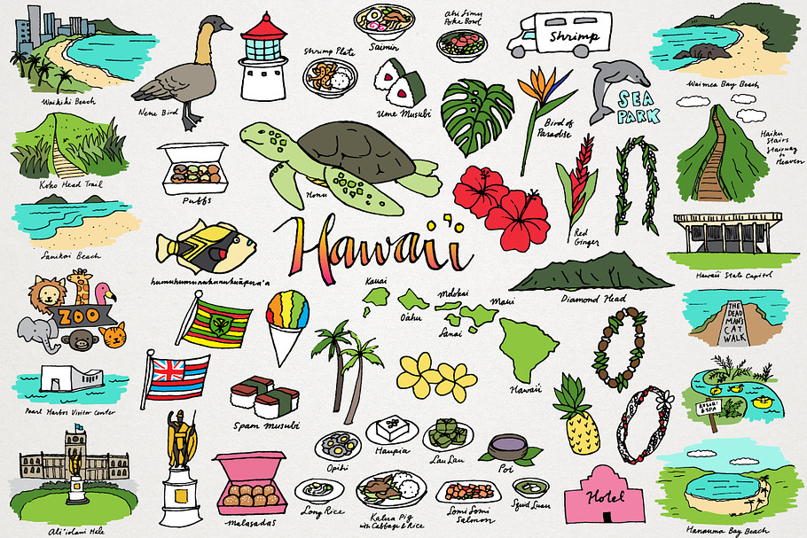 Hawaii Clipart in Illustrations - product preview 8