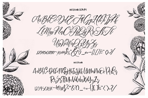 Maldina Feminime (4 fonts) in Script Fonts - product preview 9