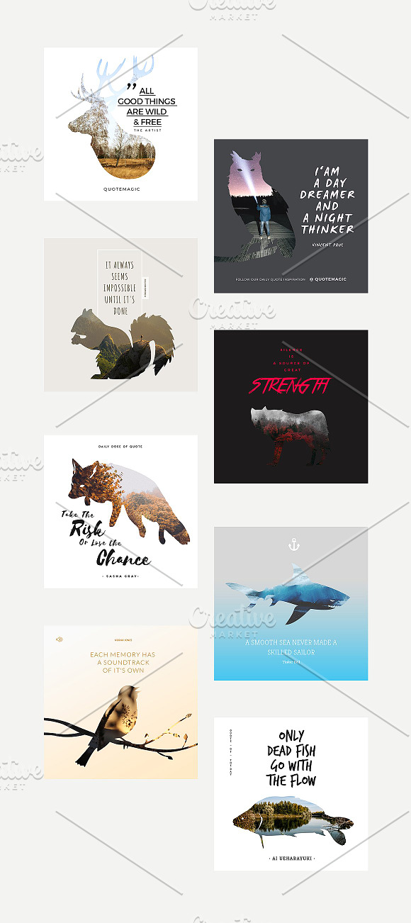 Kewan - 8 Quote Animality Design in Instagram Templates - product preview 5