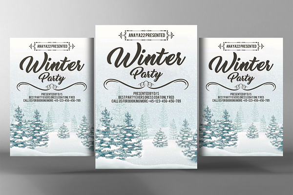 Winter Festival Flyer  Poster