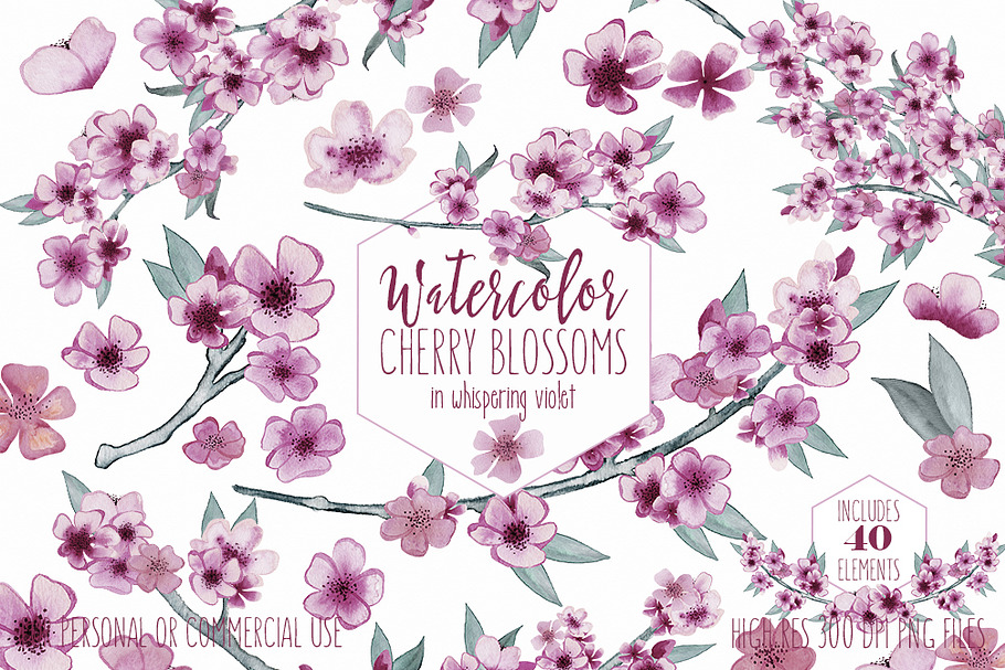 Watercolor Cherry Blossoms Violet in Illustrations - product preview 8