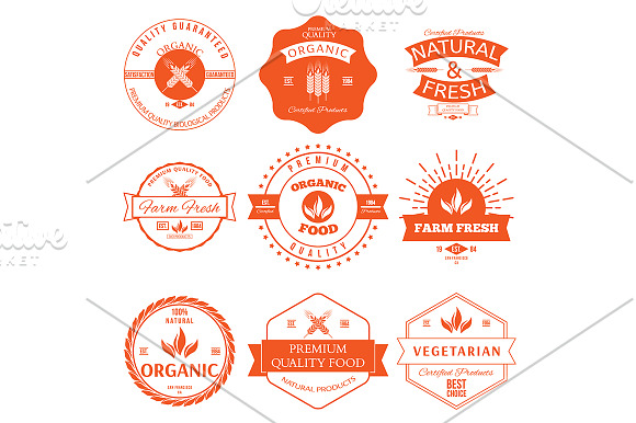 Set of vintage style elements in Graphics - product preview 1