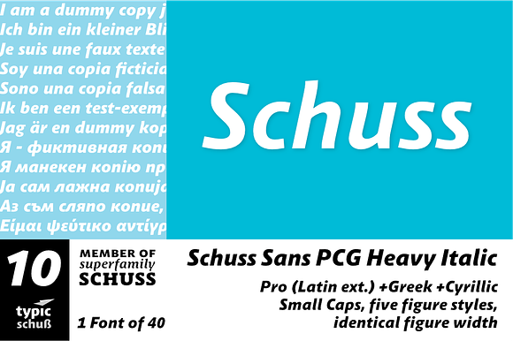 SchussSansPCGHeavyIta No.10 (1 Font) in Sans-Serif Fonts - product preview 3