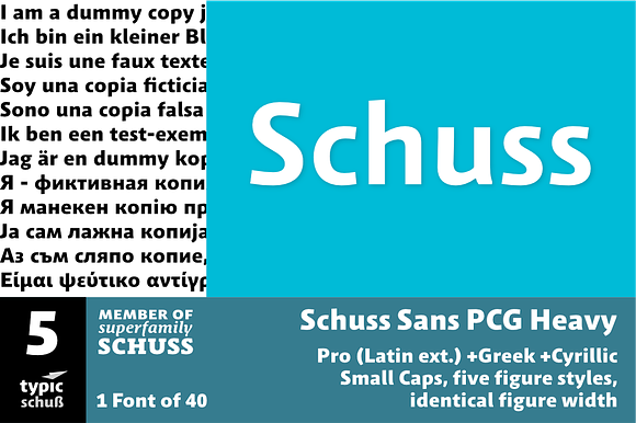 SchussSansPCGHeavy No.05 (1 Font) in Sans-Serif Fonts - product preview 3