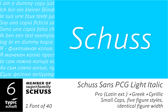 SchussSansPCGLightIta No.06 (1 Font) in Sans-Serif Fonts - product preview 3