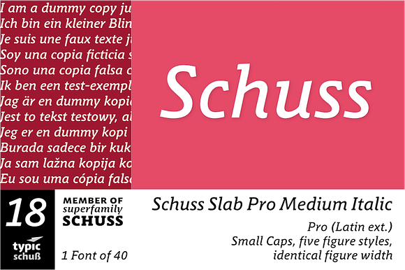 SchussSlabProMedIta No.18 (1 Font) in Slab Serif Fonts - product preview 3