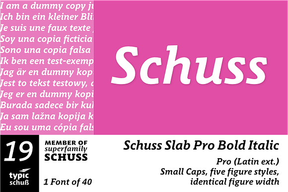 SchussSlabProBoldIta No.19 (1 Font) in Slab Serif Fonts - product preview 3