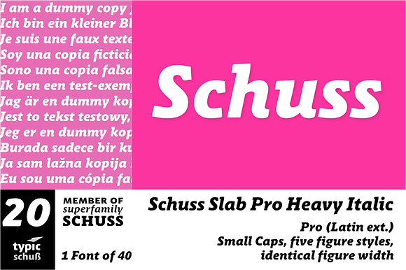 SchussSlabProHeavyIta No.20 (1 Font) in Slab Serif Fonts - product preview 3