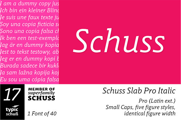SchussSlabProItalic No.17 (1 Font) in Slab Serif Fonts - product preview 4
