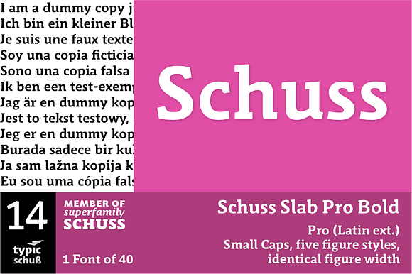 SchussSlabProBold No.14 (1 Font) in Slab Serif Fonts - product preview 3