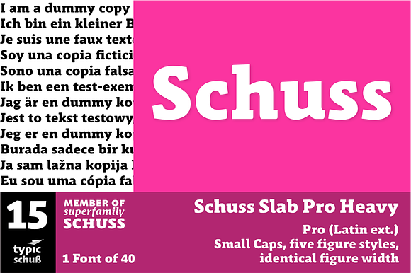 SchussSlabProHeavy No.15 (1 Font) in Slab Serif Fonts - product preview 3