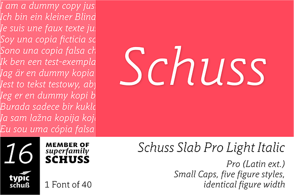 SchussSlabProLightIta No.16 (1 Font) in Slab Serif Fonts - product preview 3
