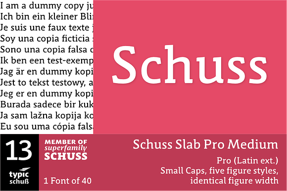 SchussSlabProMedium No.13 (1 Font) in Slab Serif Fonts - product preview 3
