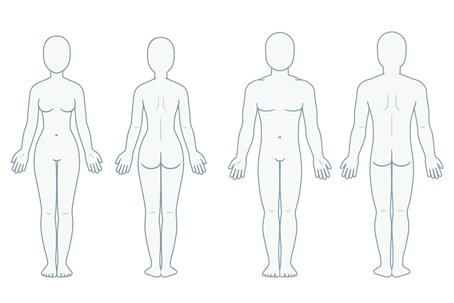 Blank body anatomy chart CustomDesigned Illustrations Creative Market