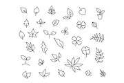 Different types of leaves set of various species of trees and plants drawing decor. Hand drawn sketch vector stock black line illustration landscape.