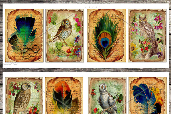 Vintage paper, feathers & owls cards