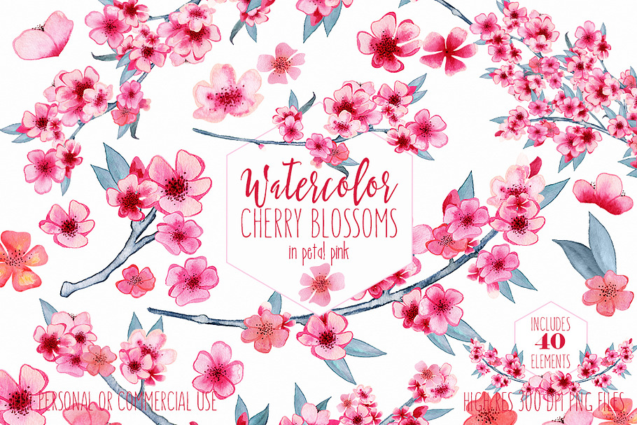Watercolor Cherry Blossom Graphics in Illustrations - product preview 8