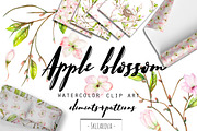 Apple blossom. Watercolor clip art.