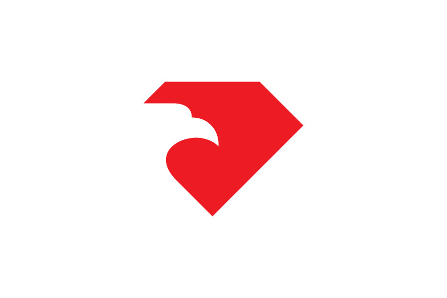 Eagle Diamons Logo