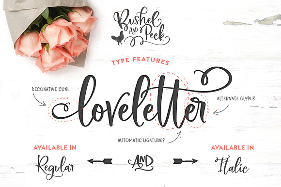Bushel & Peck Fonts & Logos in Logo Fonts - product preview 13