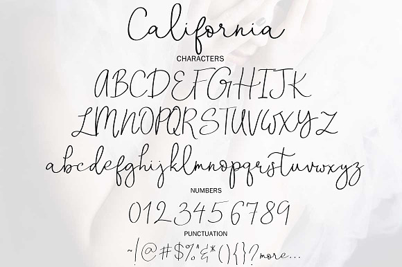 New! California in Script Fonts - product preview 6