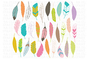 Feather ClipArt