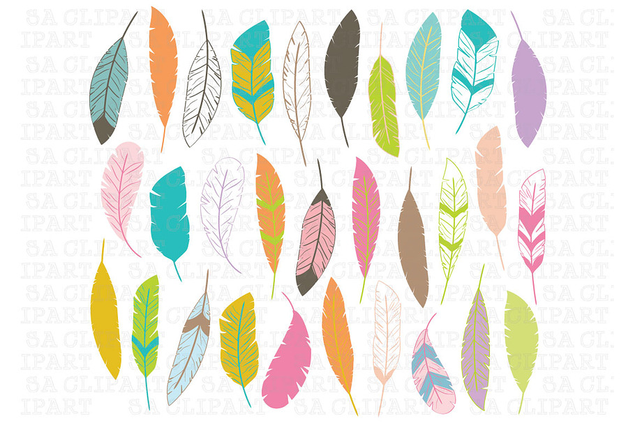 Feather ClipArt