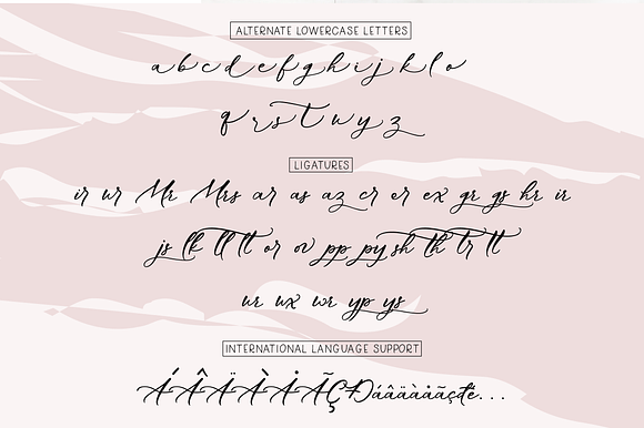 The Glamorous Tale | Elegant Script in Script Fonts - product preview 9