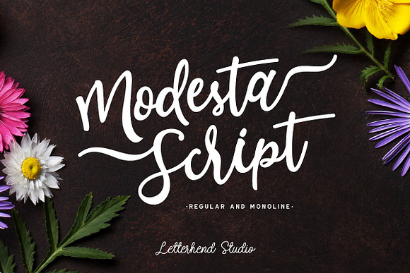 THE MIGHTY BUNDLE! in Script Fonts - product preview 18