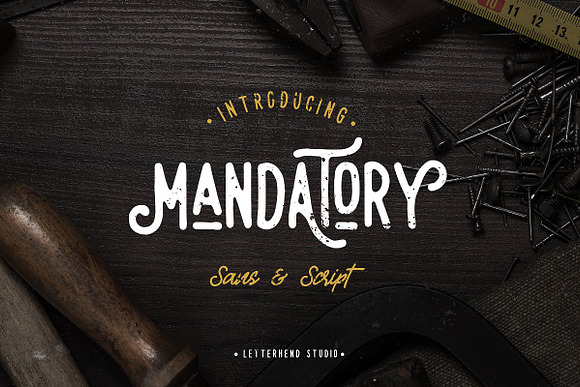 THE MIGHTY BUNDLE! in Script Fonts - product preview 25