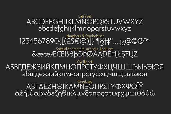 Studio Gothic - 24 fonts in Sans-Serif Fonts - product preview 8