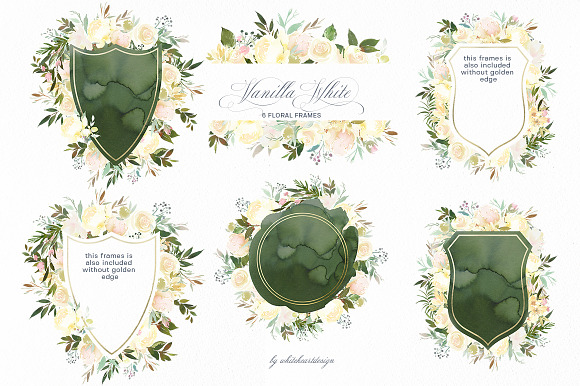 Vanilla White Watercolor Flowers  in Illustrations - product preview 1