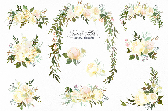Vanilla White Watercolor Flowers  in Illustrations - product preview 2