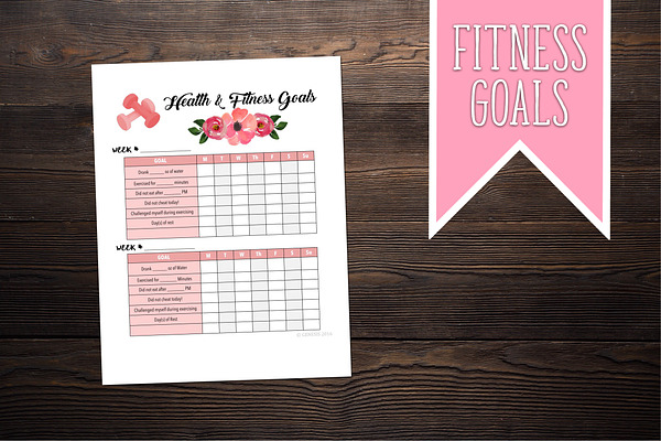 Health and Fitness Goal Tracker 