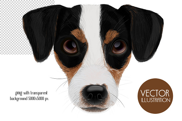 Dog portraits.Vector illustrations. in Illustrations - product preview 1