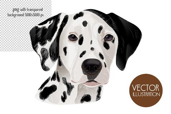 Dog portraits.Vector illustrations. in Illustrations - product preview 2
