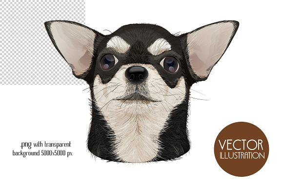 Dog portraits.Vector illustrations. in Illustrations - product preview 3