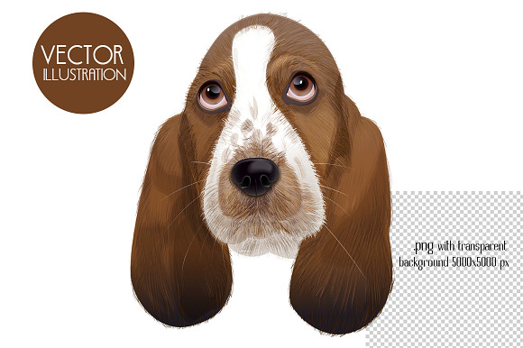 Dog portraits.Vector illustrations. in Illustrations - product preview 4