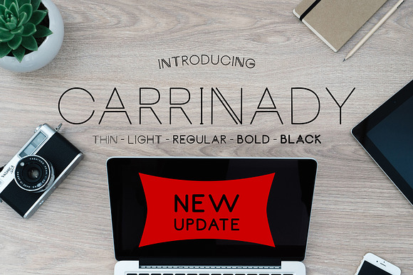 Carrinady Family - NEW UPDATE in Sans-Serif Fonts - product preview 3
