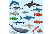 vector set of sea animals