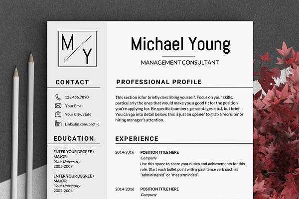 Professional Resume CV Template