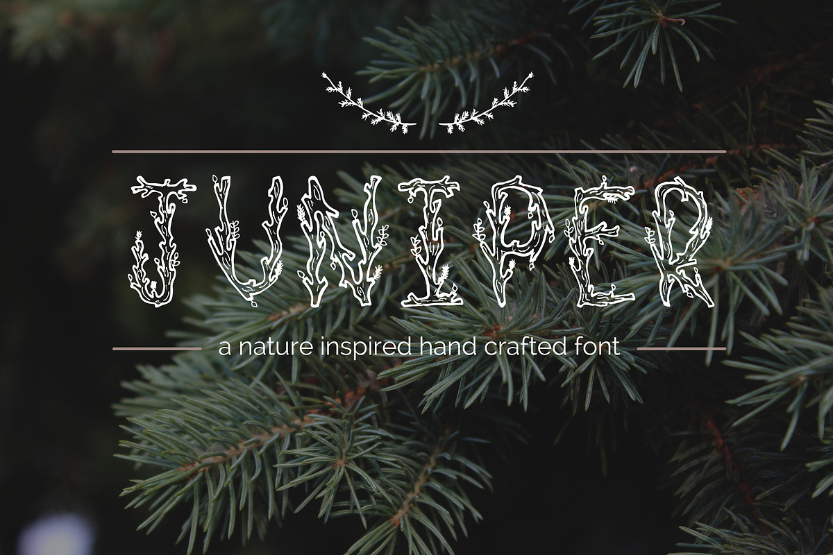 Juniper Font & Extras in Display Fonts - product preview 8