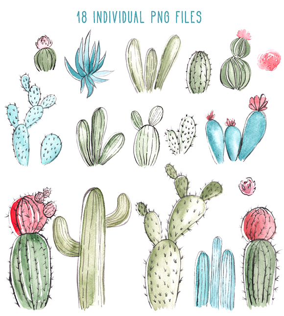 Cactus Party Graphic Collection in Illustrations - product preview 1