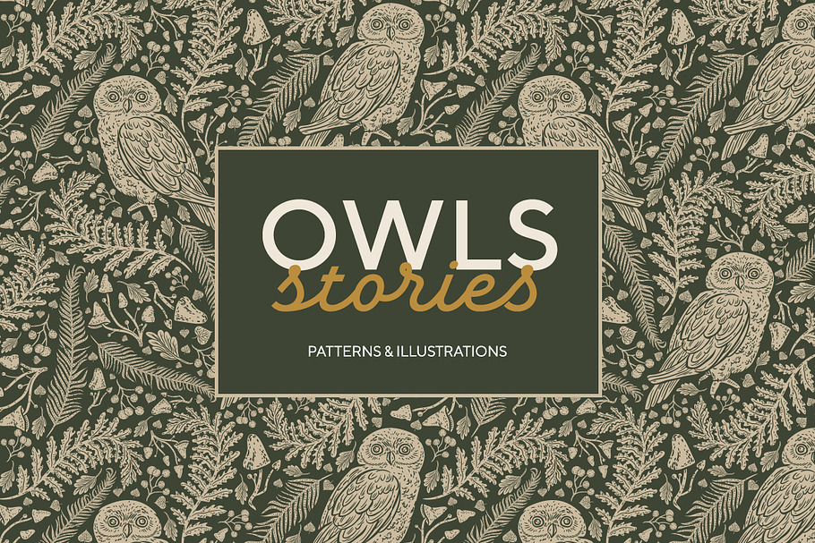 Owls graphic collection in Illustrations - product preview 8