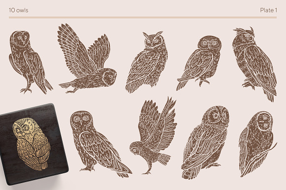 Owls graphic collection in Illustrations - product preview 3