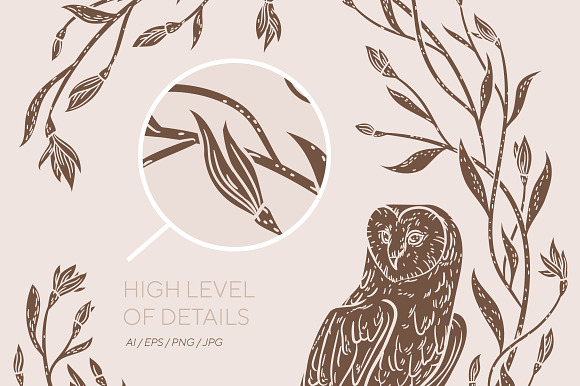 Owls graphic collection in Illustrations - product preview 4