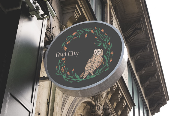 Owls graphic collection in Illustrations - product preview 6