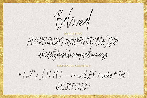 Beloved signature duo font. in Script Fonts - product preview 7