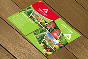CT085 Agricultural business card