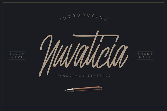 Nuvaticia Typeface in Script Fonts - product preview 7